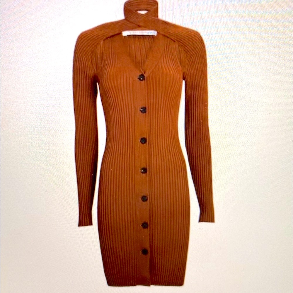 Wynn Hamlyn Knit Brown Buttoned Dress